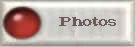 Photogalerie